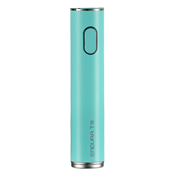 Red Kiwi Innokin Endura T18EP Akku Mint Green EOL